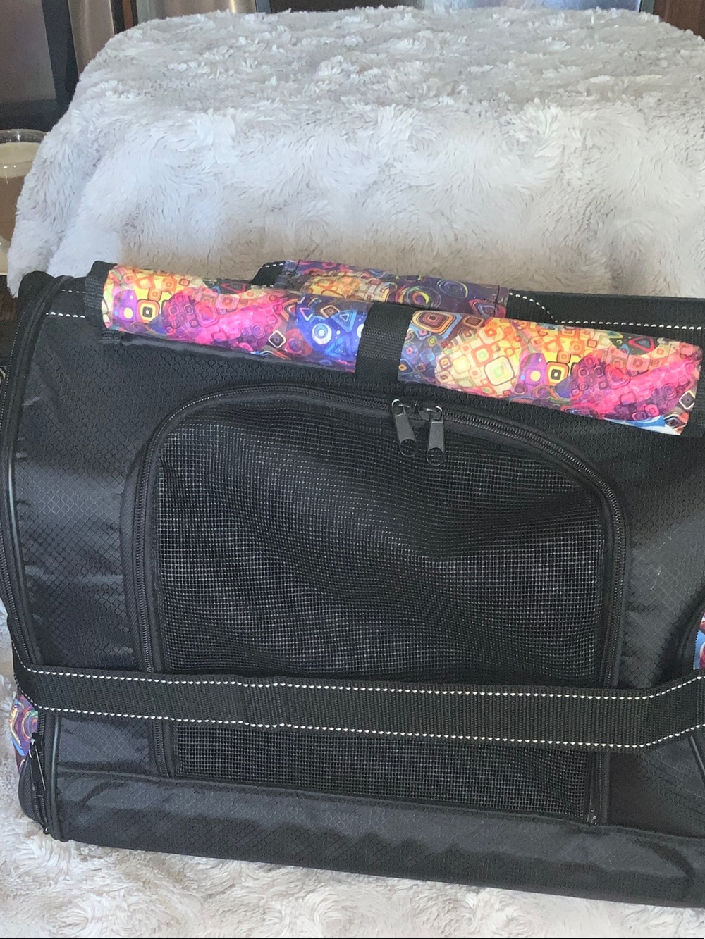 Black Soft-Sided Pet Carrier with Colorful Handle Wrap